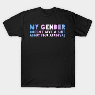 My gender doesn't require your approval. T-Shirt